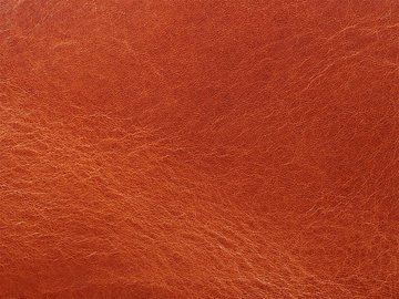 Primavera Cognac 06