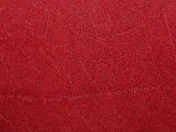 Primavera rot 11